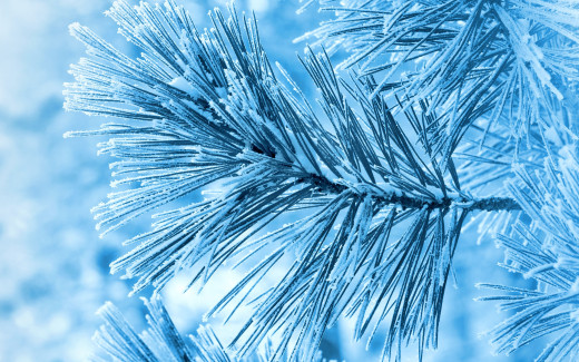 1102706 (a): :2880x1800